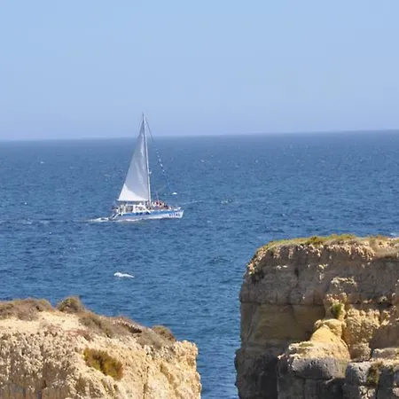 Cheerfulway Minichoro