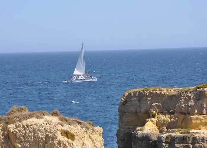 Cheerfulway Minichoro