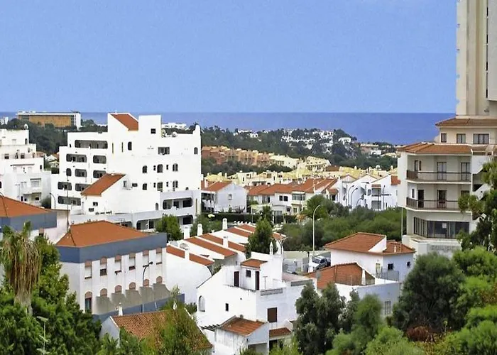 Cheerfulway Minichoro